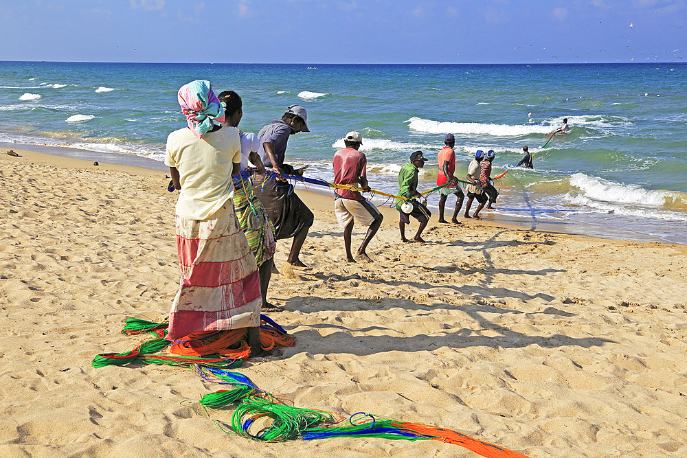 Traditional fishing hauling nets, Nilavelli beach, near Trincomalee, Eastern province, Sri Lanka, Asia