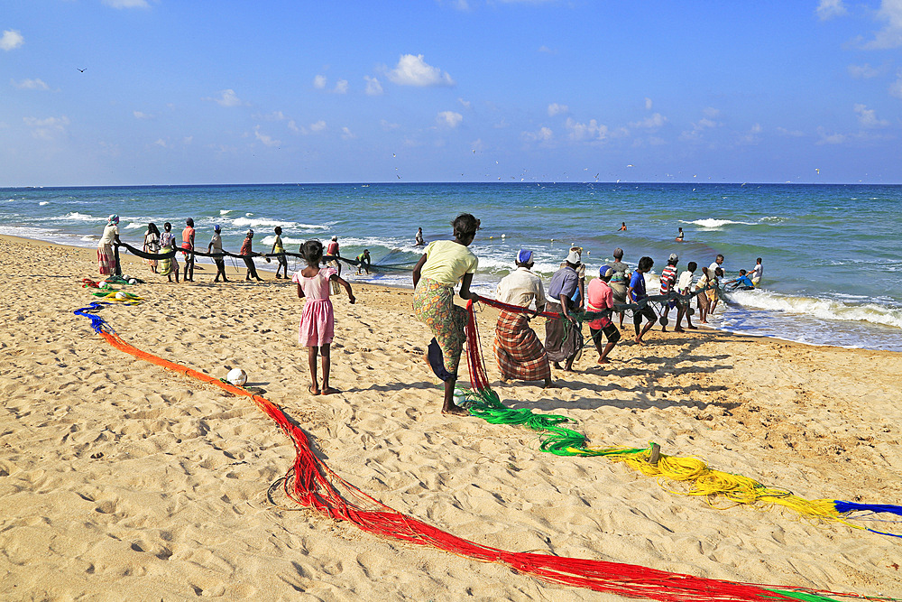 Traditional fishing hauling nets, Nilavelli beach, near Trincomalee, Eastern province, Sri Lanka, Asia