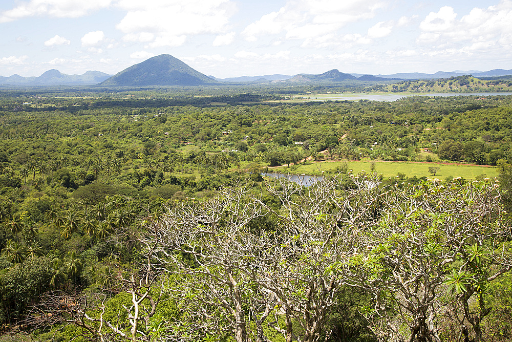 Flat plains landscape near Dambulla, Sri Lanka, Asia