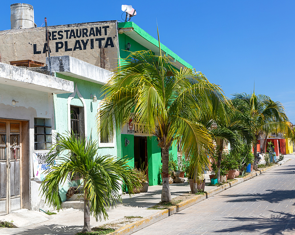 Palm trees on pavement of La Playita restaurant and colourful buildings quiet village road, Celestun, Yucatan, Mexico, North America