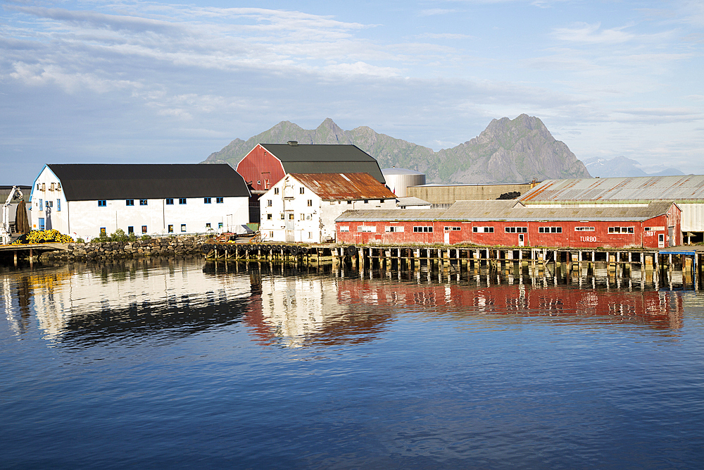 Fish processing buildings at Svolvaer, Lofoten Islands, Nordland, Norway, Scandinavia, Europe