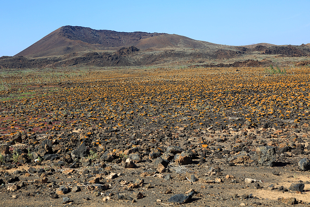 Rocky volcanic badlands (malpais) landscape, Malpais Grande National Park, Fuerteventura, Canary Islands, Spain, Atlantic, Europe