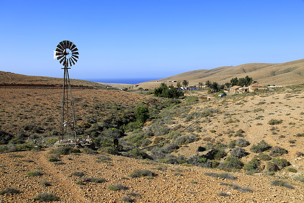 Artesian well at Fayagua, between Pajara and La Pared, Fuerteventura, Canary Islands, Spain, Atlantic, Europe