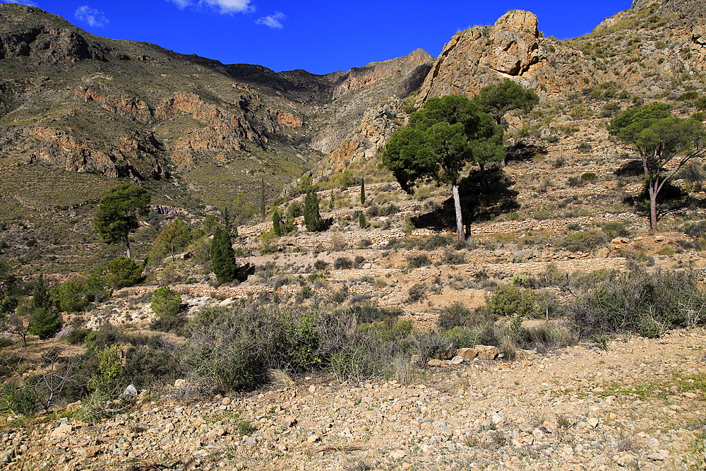 Countryside landscape, Sierra Alhamilla mountains, Nijar, Almeria, Andalusia, Spain, Europe