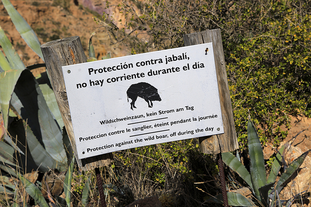 Wild boar protection sign, Sierra Alhamilla mountains around village of Nijar, Almeria, Andalusia, Spain, Europe