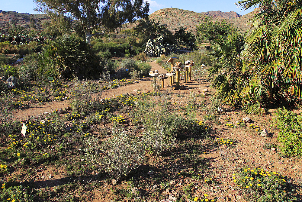 Botanical gardens at Rodalquilar, Cabo de Gata natural park, Almeria, Andalusia, Spain, Europe