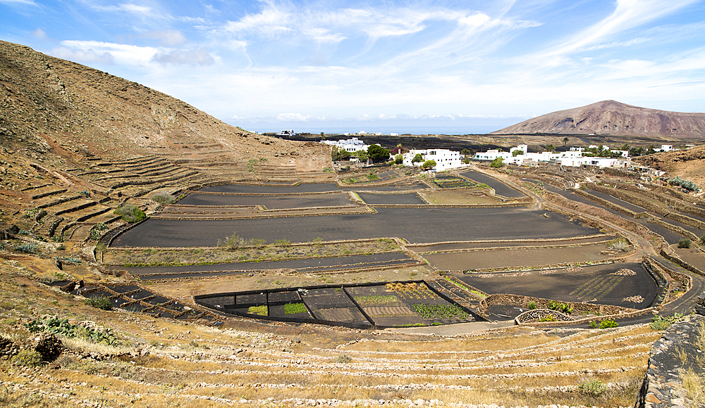 Volcano crater and black volcanic farmland soil, near Tinajo, Lanzarote, Canary Islands, Spain, Atlantic, Europe