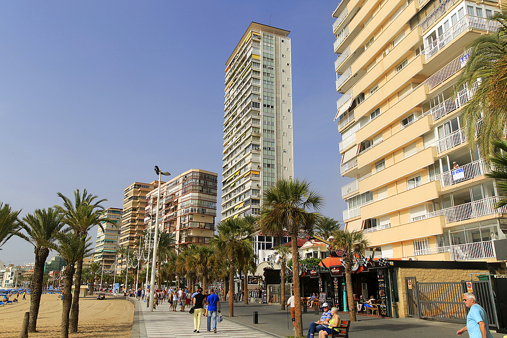 High rise apartment buildings and hotels seafront, Playa Levante beach, Benidorm, Alicante province, Spain, Europe