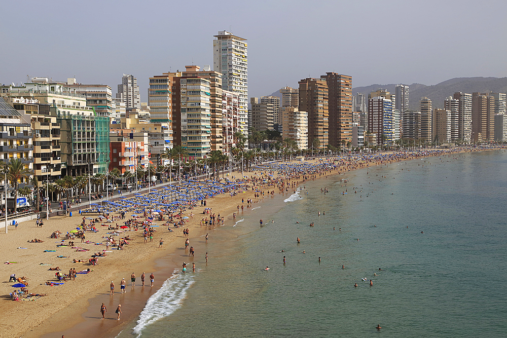 High rise apartment buildings and hotels seafront, Playa Levante sandy beach, Benidorm, Alicante province, Spain, Europe