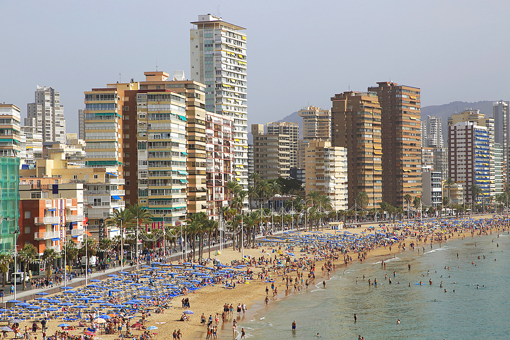 High rise apartment buildings and hotels seafront, Playa Levante sandy beach, Benidorm, Alicante province, Spain, Europe