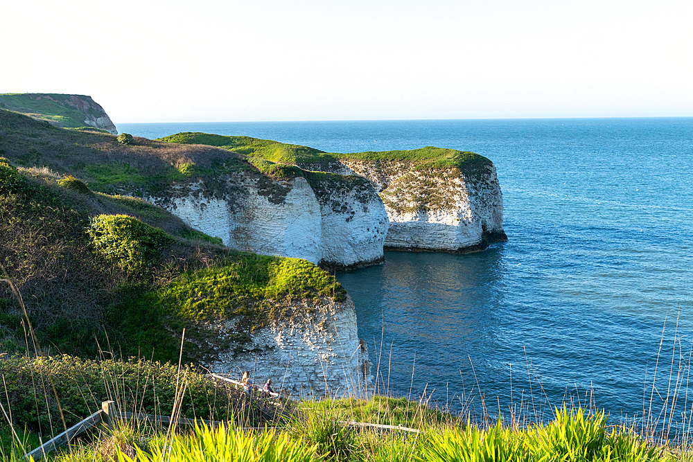 Scenic view of white chalk cliffs with lush greenery overlooking a calm blue sea, Flamborough, Yorkshire, England, United Kingdom, Europe