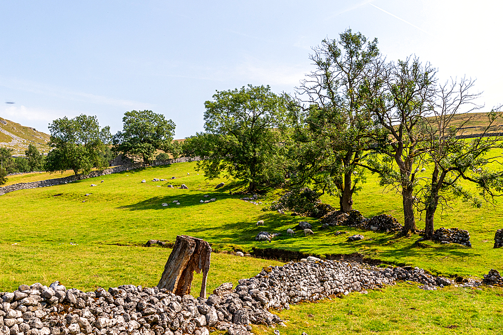 Idyllic rural landscape with lush green trees, stone wall remnants, and rolling hills under a clear blue sky, United Kingdom, Europe