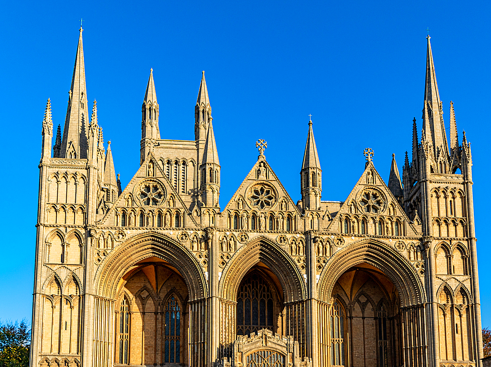 Gothic Cathedral facade against a clear blue sky in Peterborough, Cambridgeshire, England, United Kingdom, Europe