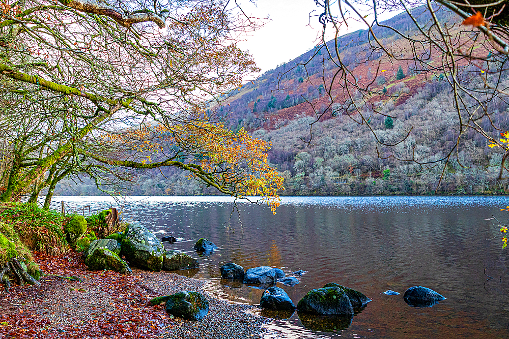 Tranquil lake with autumn leaves, surrounded by forested hills, with rocks along the shore under a serene sky in Scotland, United Kingdom, Europe