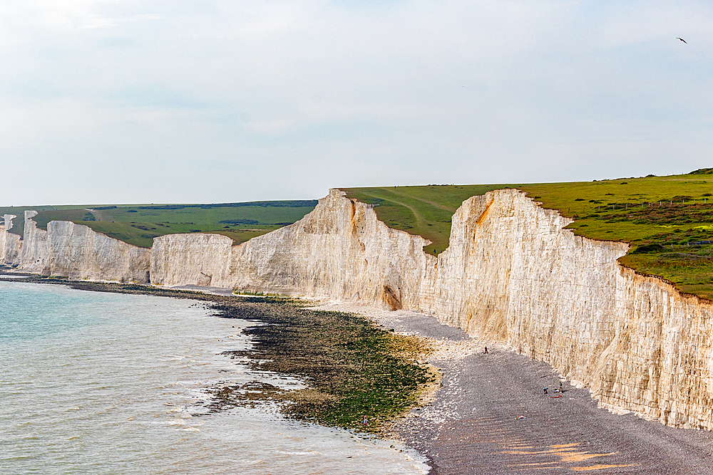 Scenic view of white chalk cliffs and green hills along the coastline under a cloudy sky at Seven Sisters, South Downs National Park, East Sussex, England, United Kingdom, Europe