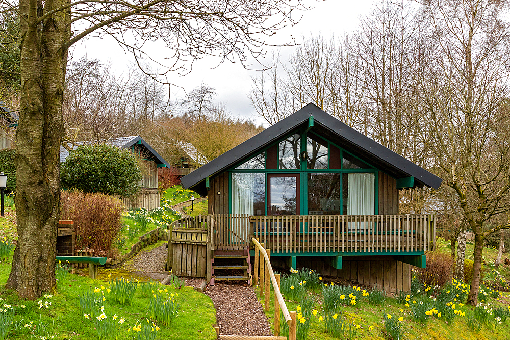 Cosy wooden cabin with green trim, surrounded by lush garden and spring flowers, featuring a welcoming deck and tranquil setting, North York Moors, Yorkshire, England, United Kingdom, Europe United Kingdom, Europe