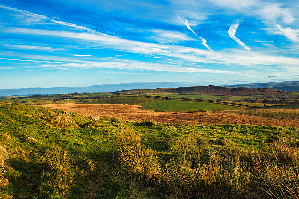 Scenic landscape with lush green fields, rolling hills, and a clear blue sky with wispy clouds at Sycamore Gap, Northumberland, UK.