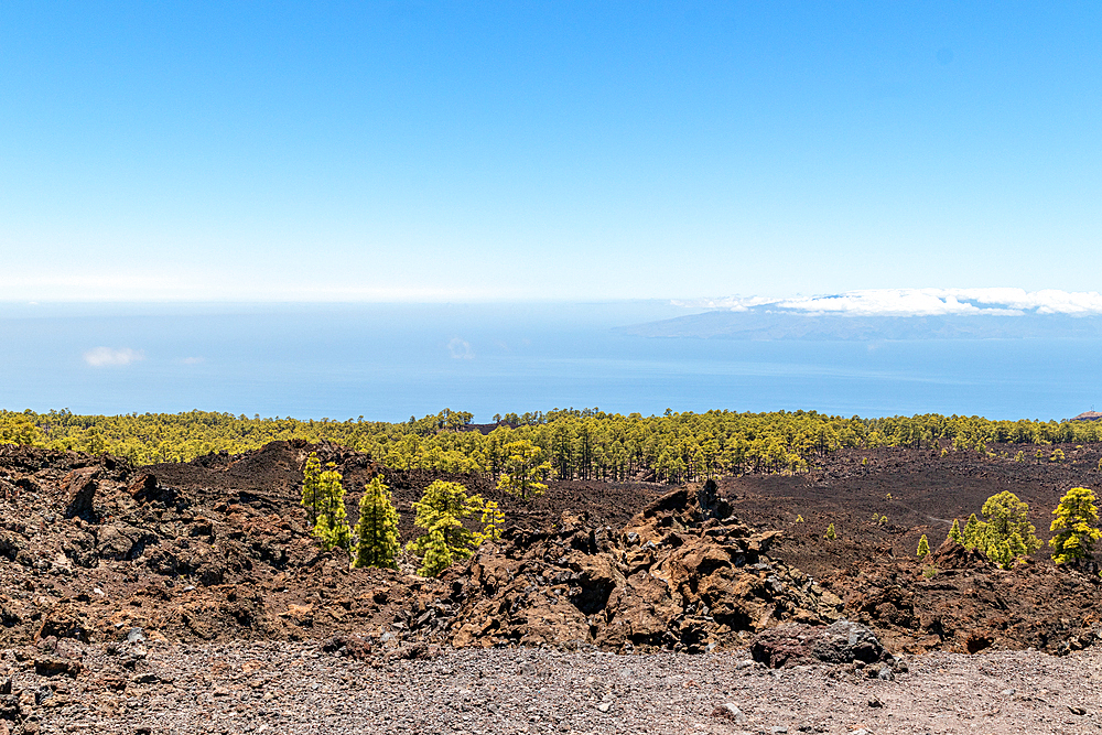 Volcanic landscape with rocky terrain in the foreground and a clear blue sky over the ocean in the background in Tenerife, Canary Islands, Spain, Atlantic, Europe