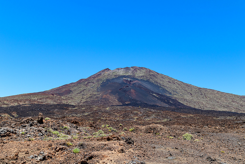 Scenic view of a tranquil volcanic landscape with clear blue sky in Tenerife, Canary Islands, Spain, Atlantic, Europe