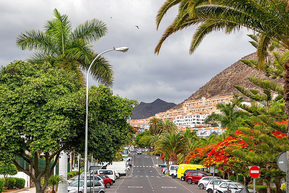 Tropical street with palm trees, parked cars, and a mountain backdrop under a cloudy sky in Los Cristianos, Tenerife, Canary Islands, Spain, Atlantic, Europe