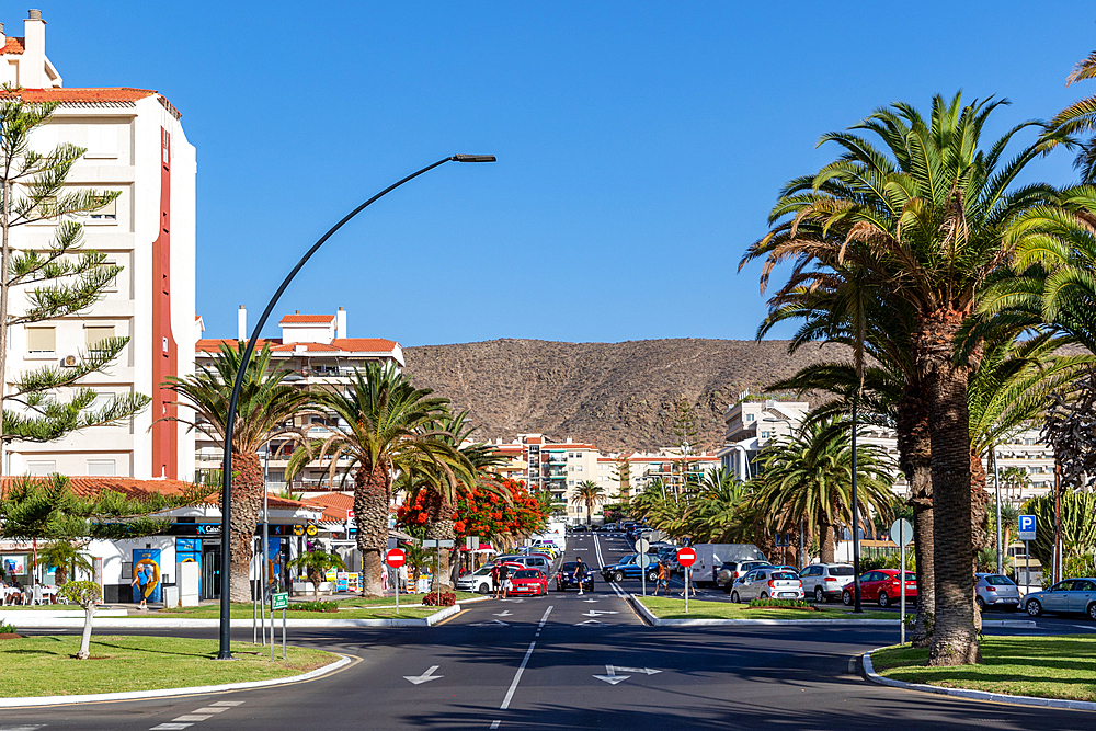 Sunny city street lined with palm trees leading towards distant hills, clear blue sky above in Los Cristianos, Tenerife, Canary Islands, Spain, Atlantic, Europe