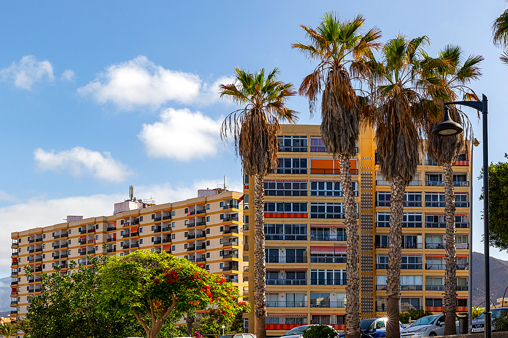 Modern apartment building with balconies under blue sky, flanked by palm trees in an urban setting in Los Cristianos, Tenerife, Canary Islands, Spain, Atlantic, Europe