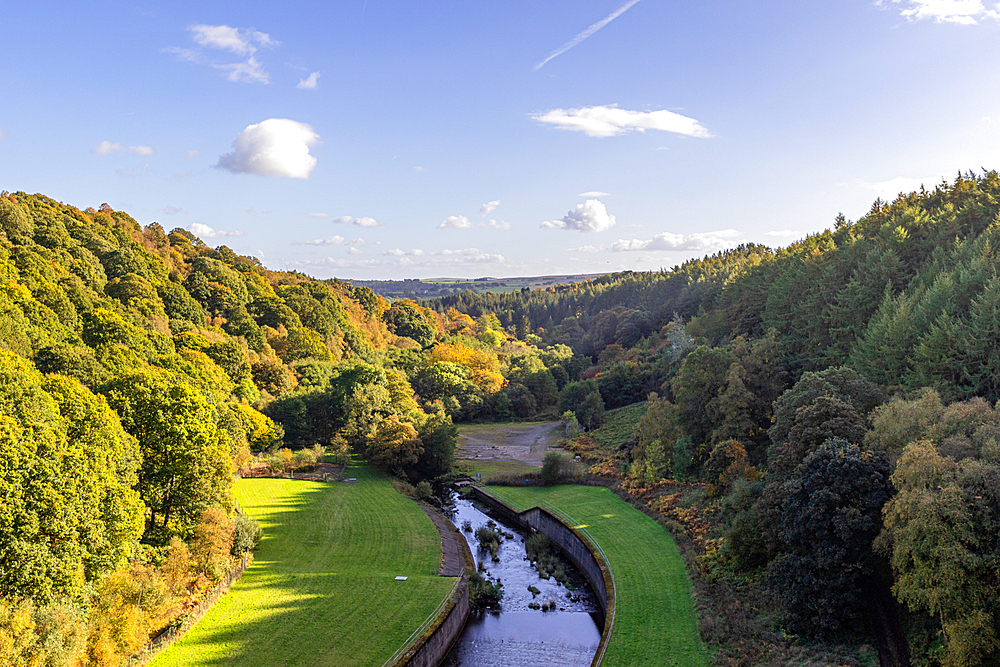 Scenic view of a lush valley with a winding river, surrounded by dense forests under a clear sky at Thruscross Reservoir in North Yorkshire, England, United Kingdom, Europe