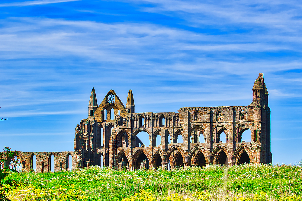 Ruins of an ancient abbey with Gothic architecture, set against a blue sky with wispy clouds. The structure is surrounded by green grass and wildflowers.