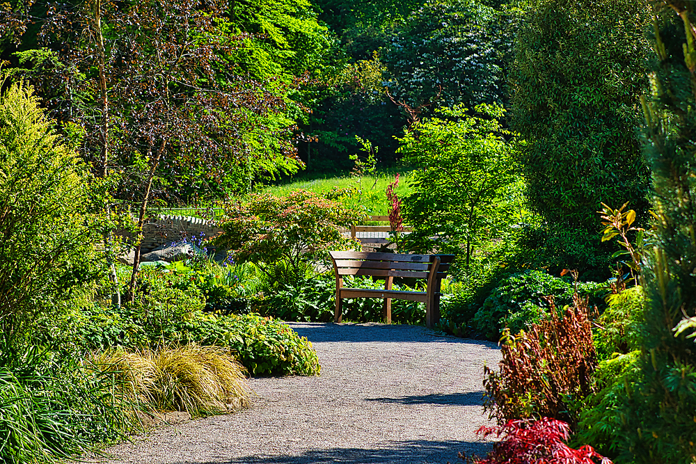 A serene garden scene with a wooden bench surrounded by lush greenery and various plants. The path leading to the bench is shaded by trees, creating a peaceful atmosphere.