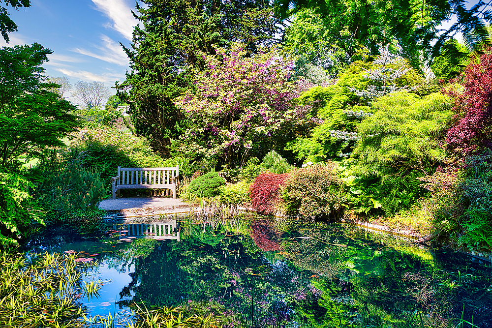 A serene garden scene with a wooden bench beside a tranquil pond surrounded by lush greenery and blooming flowers.