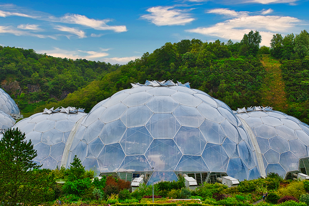 At Eden Project