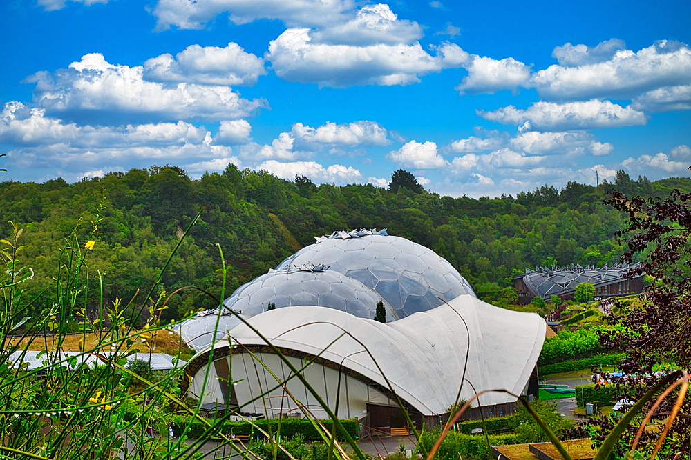 At Eden Project