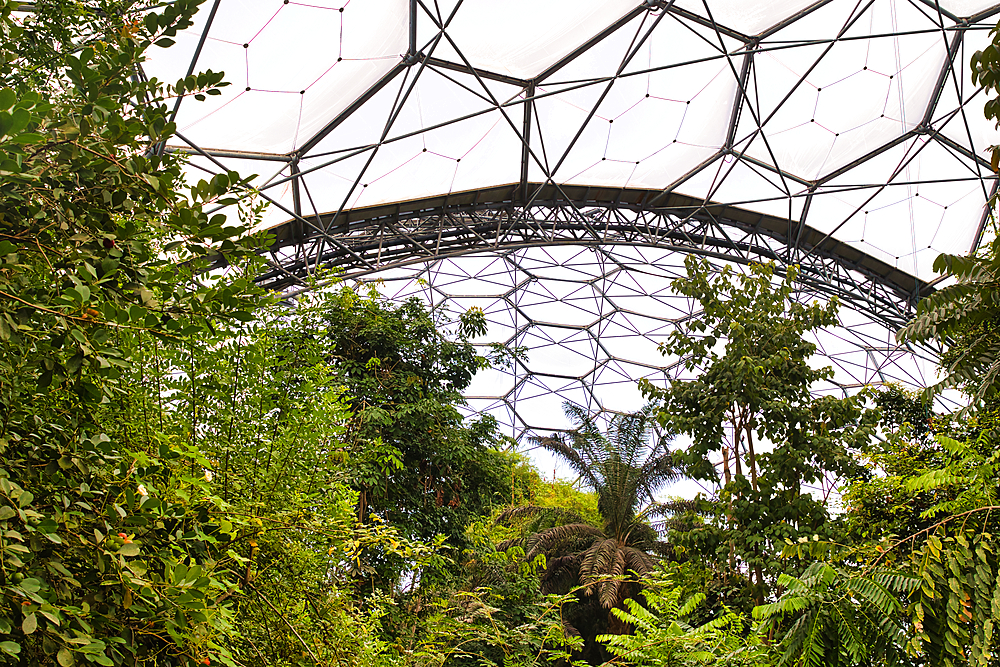 At Eden Project