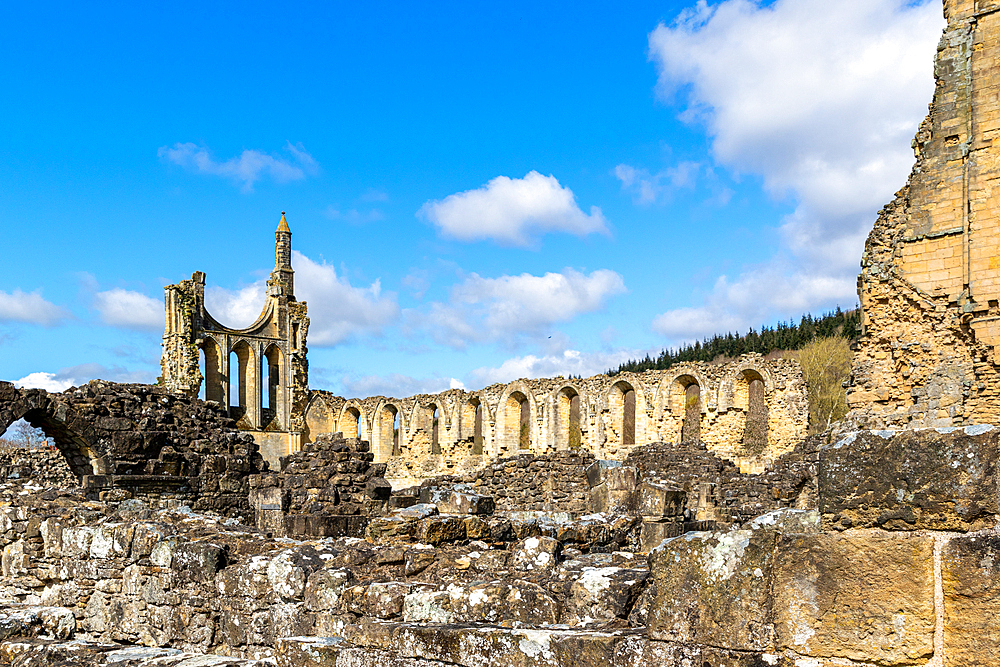 Ancient ruins under blue sky with clouds, historical architecture with arches and columns at Byland Abbey, North Yorkshire, England, United Kingdom, Europe