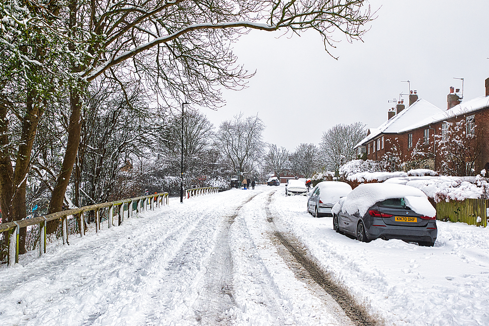 Snow-covered residential street with parked cars, snow-laden trees, and a wooden fence. The scene is overcast and quiet in Harrogate, UK.