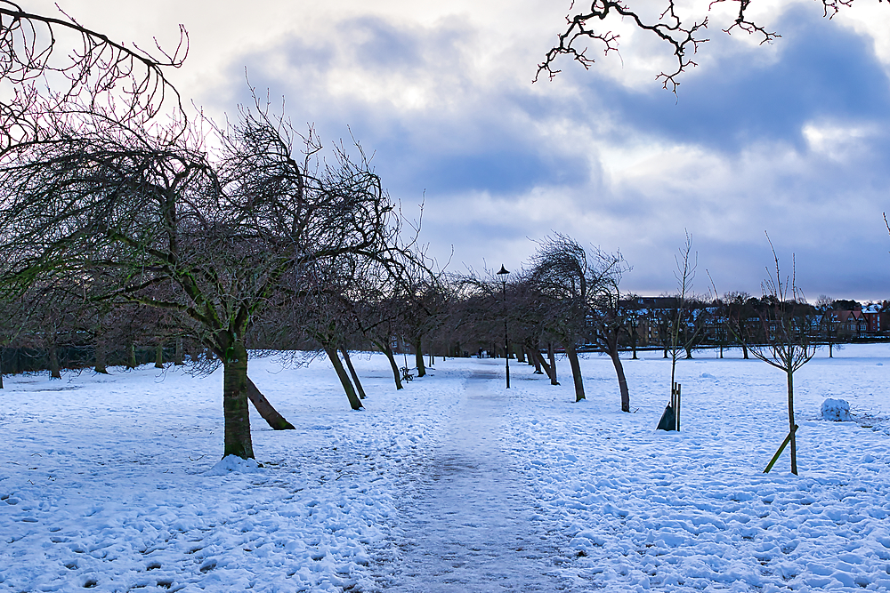 Snow-covered park pathway lined with leafless trees under a cloudy sky. A few buildings are visible in the background in Harrogate, UK.