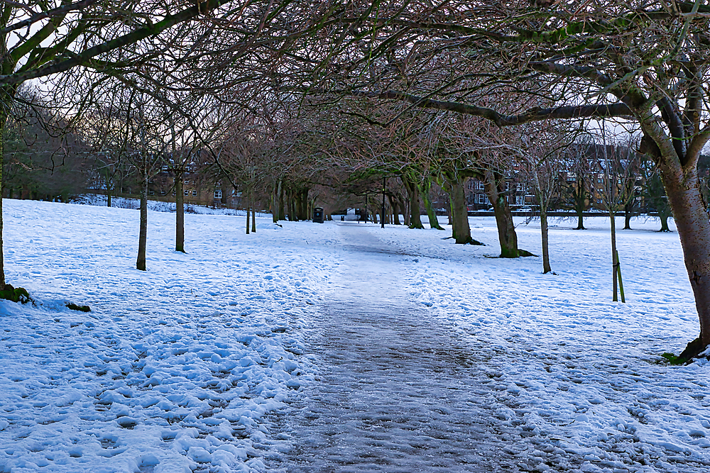 Snow-covered path meanders through a park, lined with bare deciduous trees. Buildings are visible in the background. The scene is tranquil and wintery in Harrogate, UK.