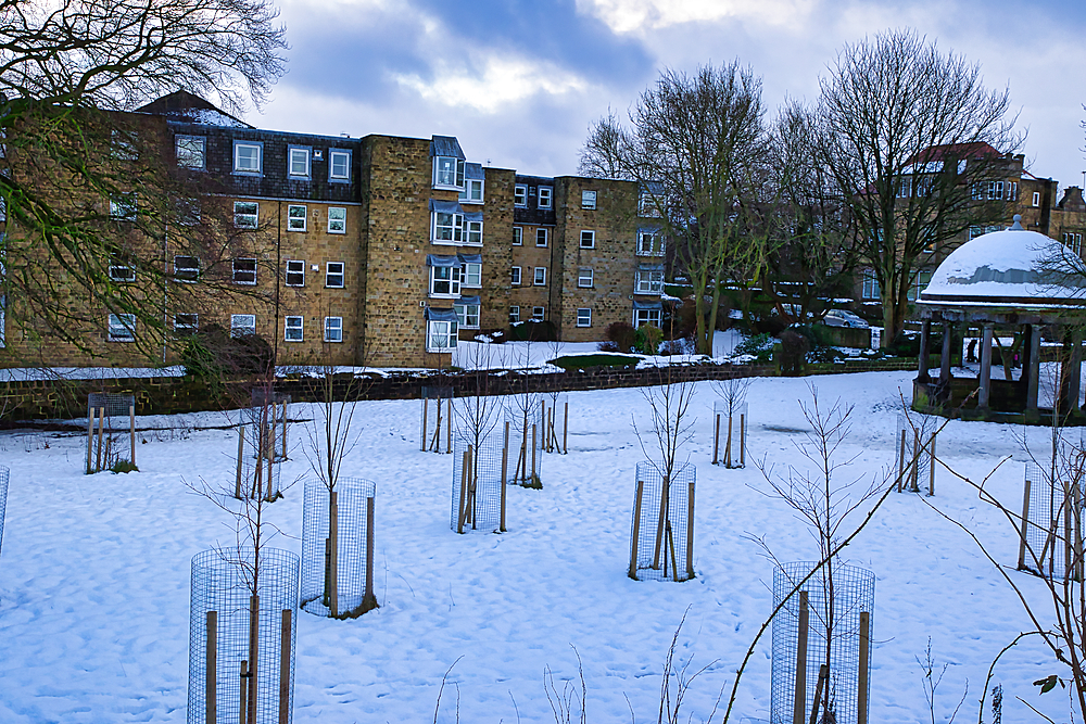 Snow-covered park with newly planted saplings in protective wire mesh, a stone gazebo, and a multi-story apartment building in the background under a cloudy sky in Harrogate, UK.