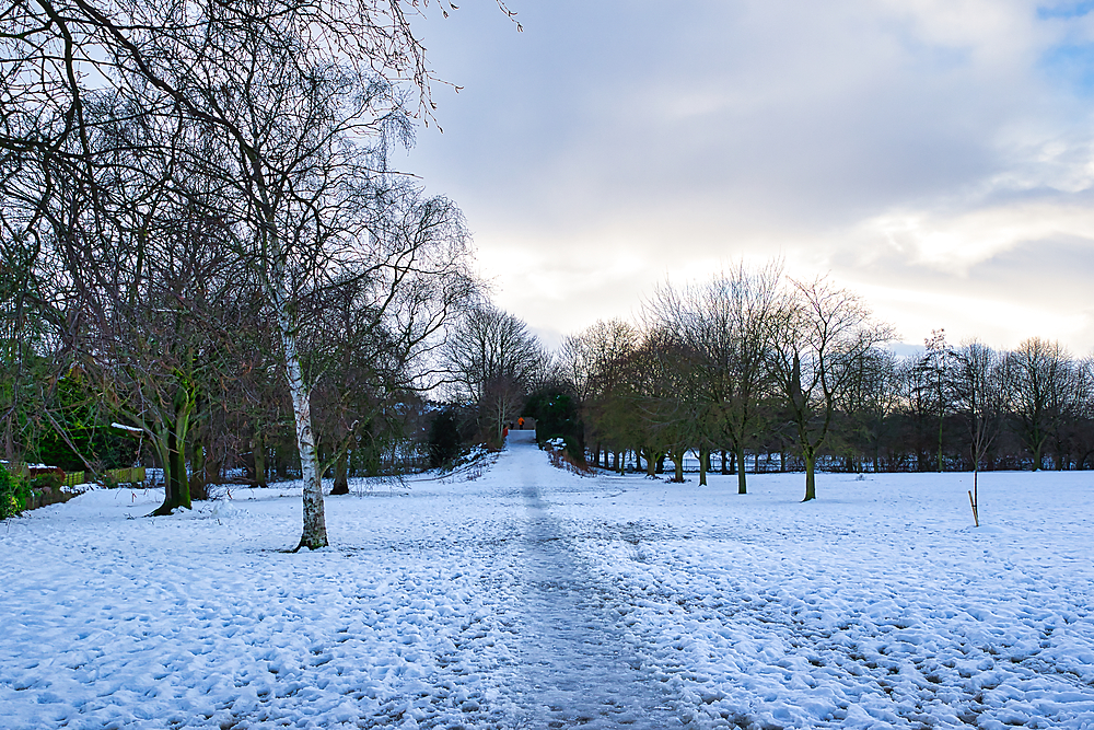 Snow-covered park path leads through leafless trees to a distant structure under a pale sky. The scene is peaceful and wintery in Harrogate, UK.