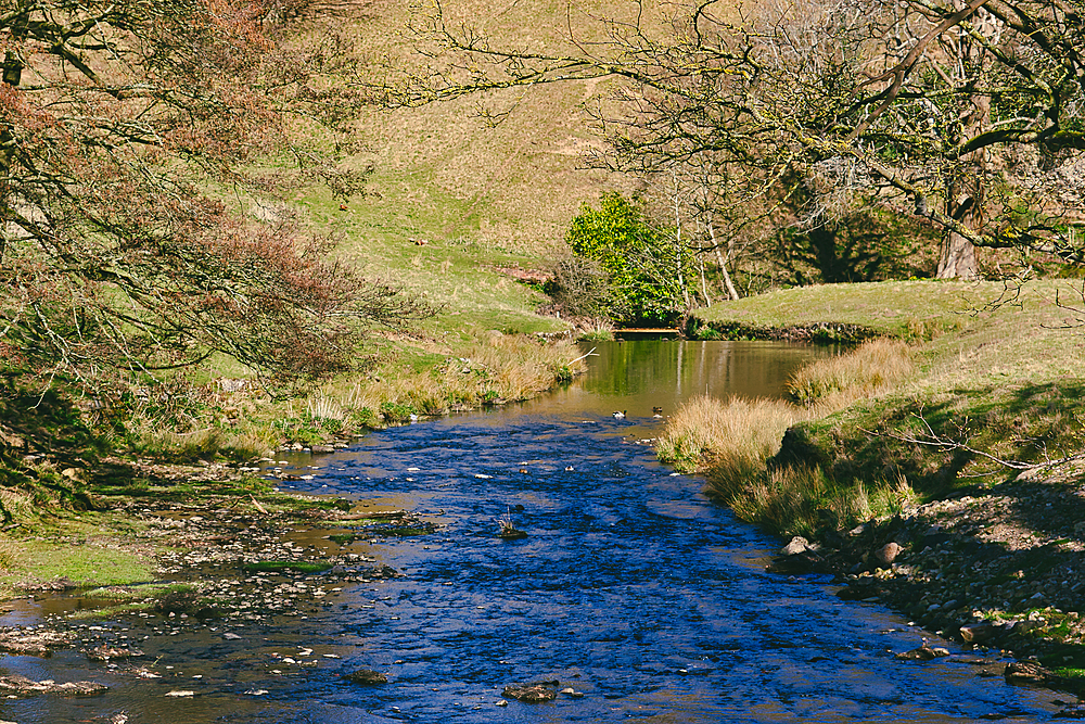 A winding stream flows through a grassy valley, framed by trees. A calm pool reflects the sky and foliage at Studley Royal Park, UK.