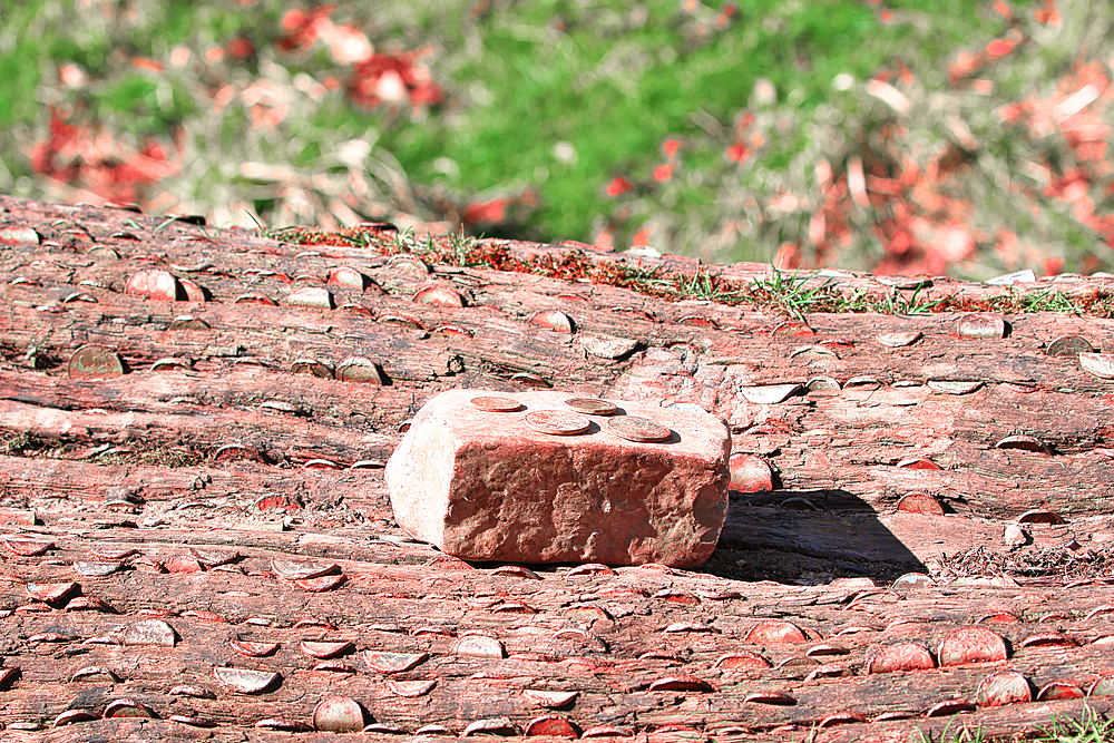 Close-up of a log covered with coins and topped with a brick holding coins. Blurred grass in background.
