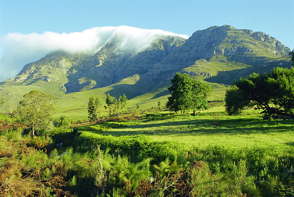 The Montagu and Outeniqua passes, Western Cape Province, South Africa, Africa