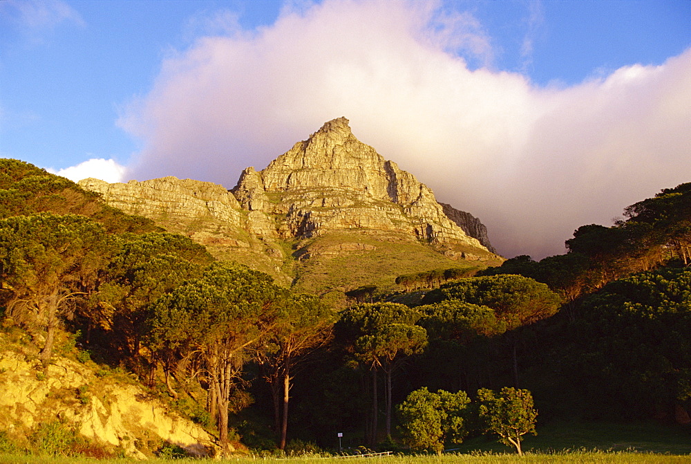 Table Mountain, Cape Town, Cape, South Africa, Africa