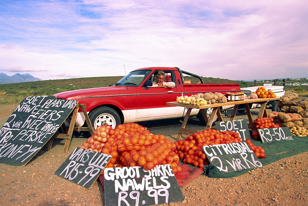 Highway fruit vendor, South Africa, Africa