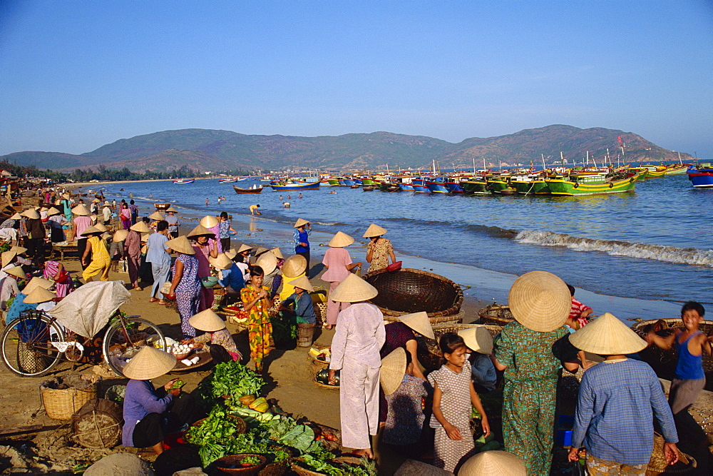 Daily fish market on beach, Quinhon City, Vietnam, Indochina, Southeast Asia, Asia