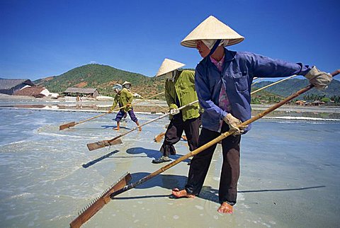 Workers with rakes at the salt mines at Cam Ranh near Nha Trang, Vietnam, Indochina, Southeast Asia, Asia