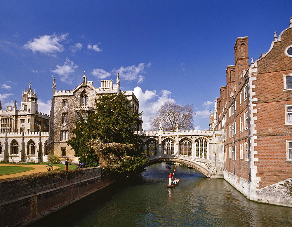 Punting under the Bridge of Sighs on the River Cam at St. John's College, Cambridge, Cambridgeshire, England, United Kingdom, Europe