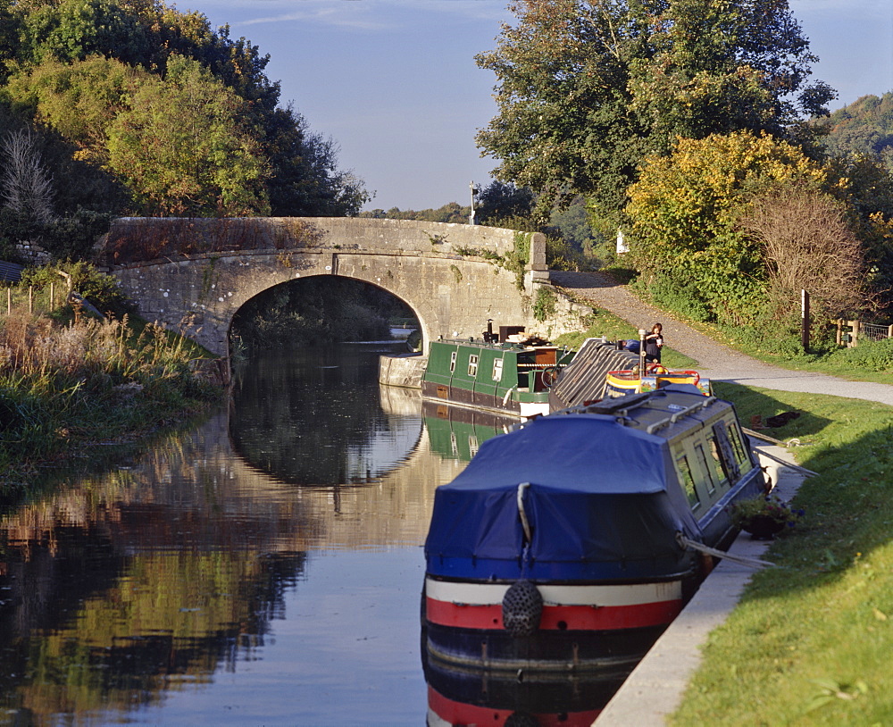 Narrowboats moored on the Kennet and Avon Canal at Bathampton, near Bath, Avon, England, United Kingdom, Europe