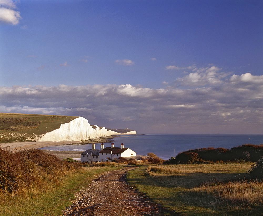 White chalk cliffs of the Seven Sisters, seen from Seaford Head, Sussex, England, United Kingdom, Europe