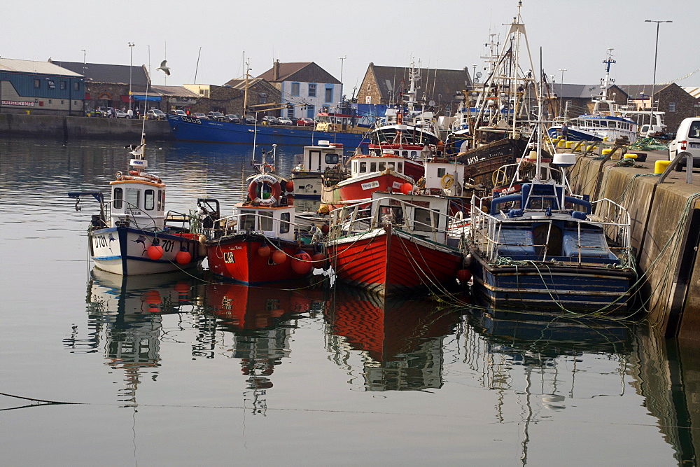 Fishing boats, Howth harbour, County Dublin, Republic Ireland, Europe